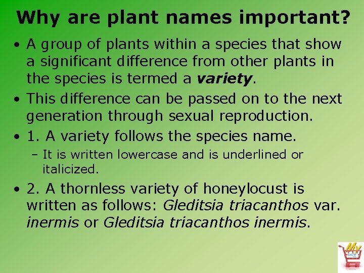 Why are plant names important? • A group of plants within a species that