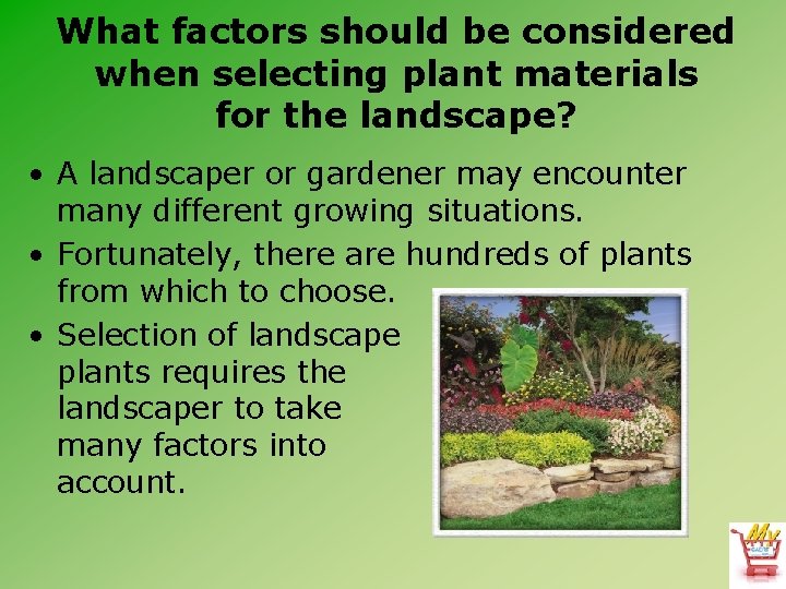 What factors should be considered when selecting plant materials for the landscape? • A