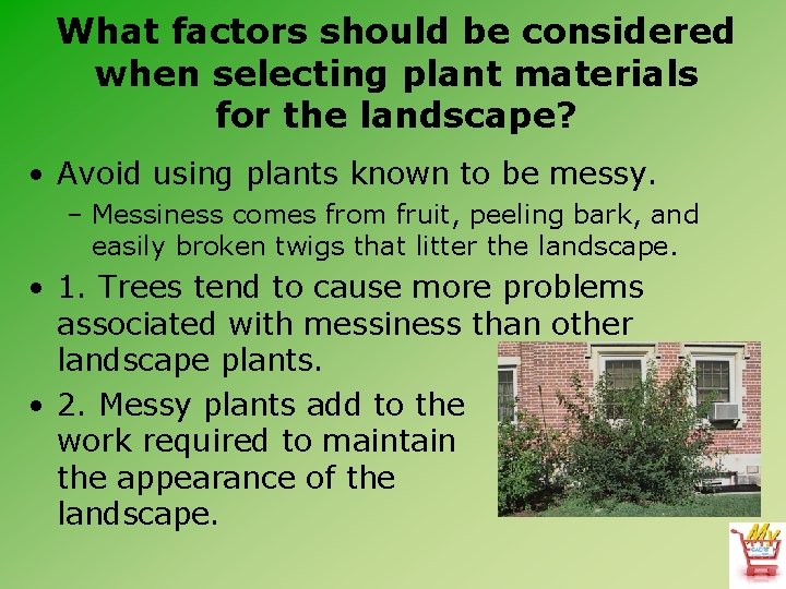 What factors should be considered when selecting plant materials for the landscape? • Avoid