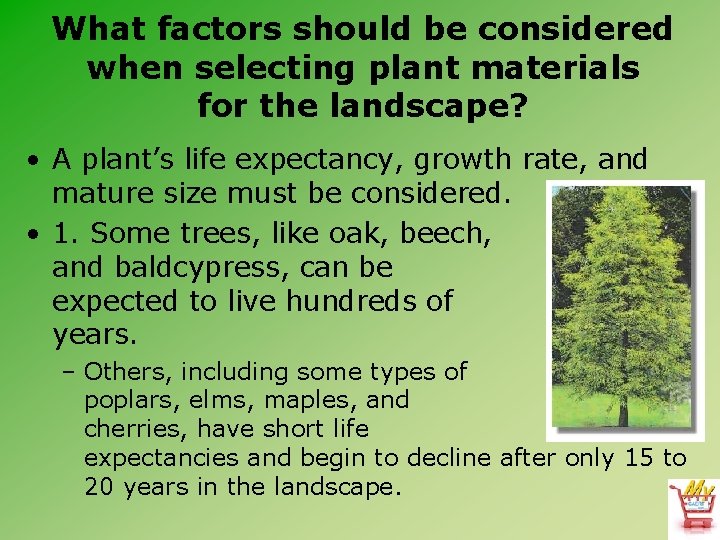 What factors should be considered when selecting plant materials for the landscape? • A