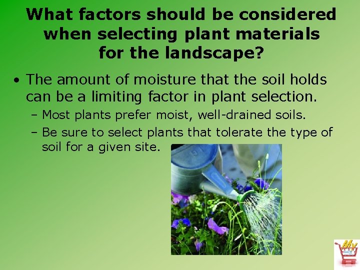 What factors should be considered when selecting plant materials for the landscape? • The