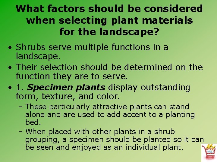 What factors should be considered when selecting plant materials for the landscape? • Shrubs