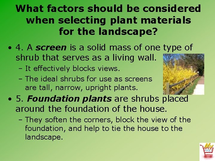 What factors should be considered when selecting plant materials for the landscape? • 4.