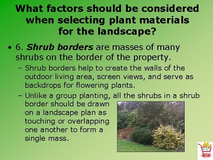 What factors should be considered when selecting plant materials for the landscape? • 6.