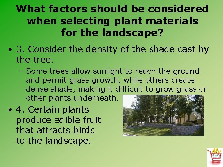 What factors should be considered when selecting plant materials for the landscape? • 3.