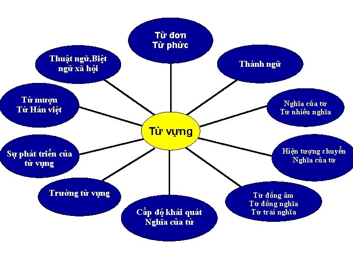 Từ đơn Từ phức Thuật ngữ, Biệt ngữ xã hội Thành ngữ Từ mượn