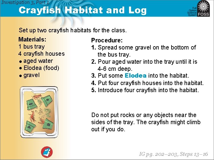 Investigation 3, Part 1 Crayfish Habitat and Log Set up two crayfish habitats for