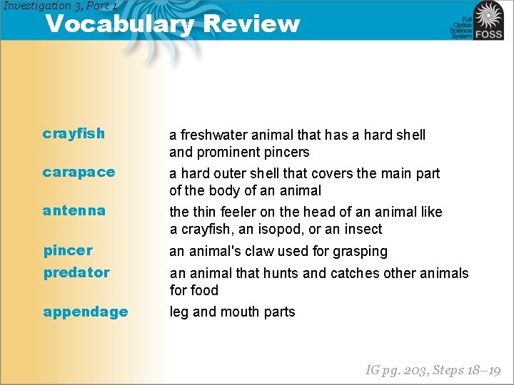 Investigation 3, Part 1 Vocabulary Review crayfish carapace antenna a freshwater animal that has