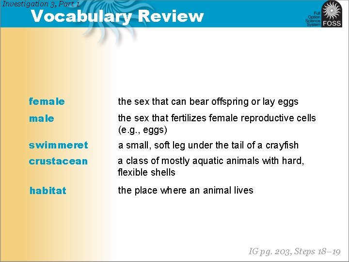 Investigation 3, Part 1 Vocabulary Review female the sex that can bear offspring or