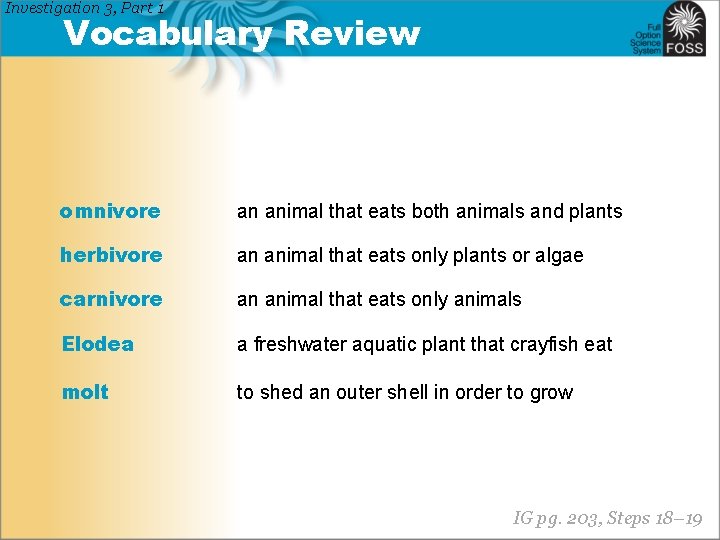 Investigation 3, Part 1 Vocabulary Review omnivore an animal that eats both animals and