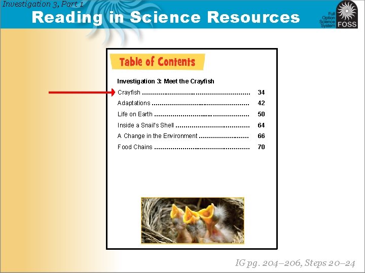 Investigation 3, Part 1 Reading in Science Resources Investigation 3: Meet the Crayfish ………….