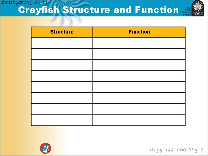 Investigation 3, Part 1 Crayfish Structure and Function Structure Function IG pg. 199– 200,