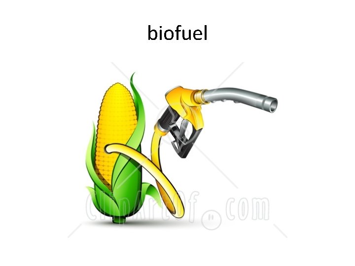 biofuel 