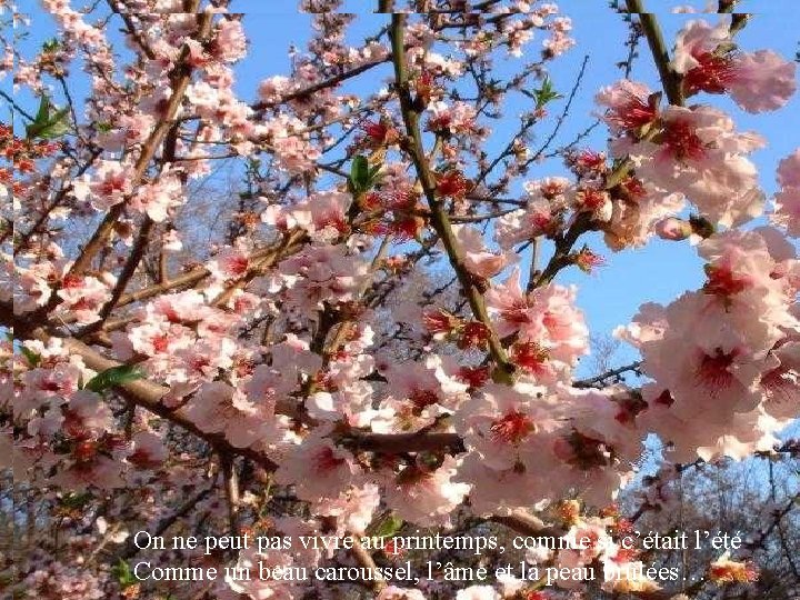 On ne peut pas vivre au printemps, comme si c’était l’été Comme un beau