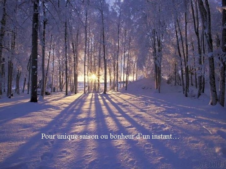 Pour unique saison ou bonheur d’un instant… 