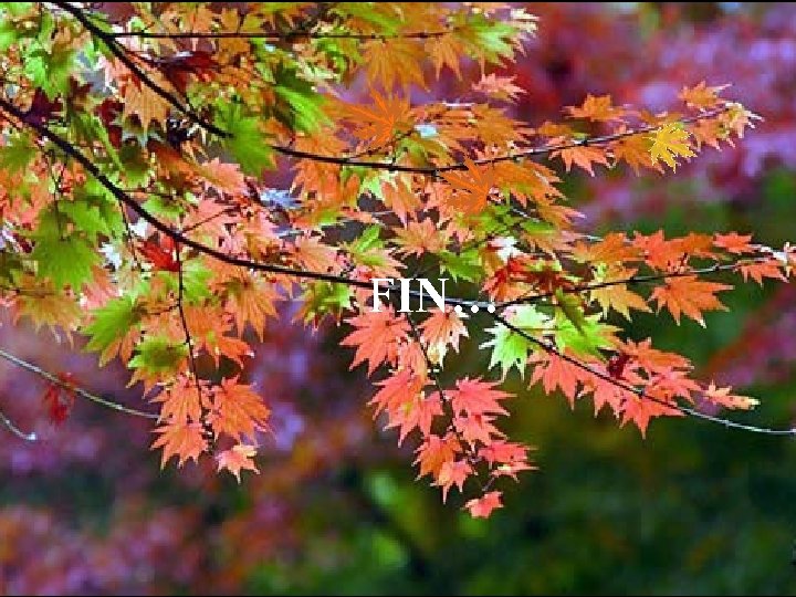 FIN… 