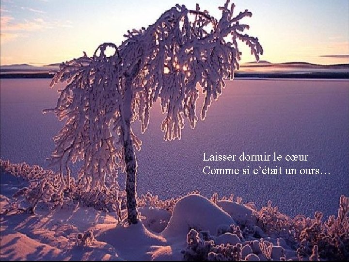 Laisser dormir le cœur Comme si c’était un ours… 
