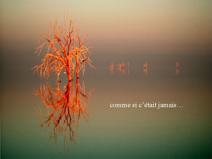 comme si c’était jamais… 