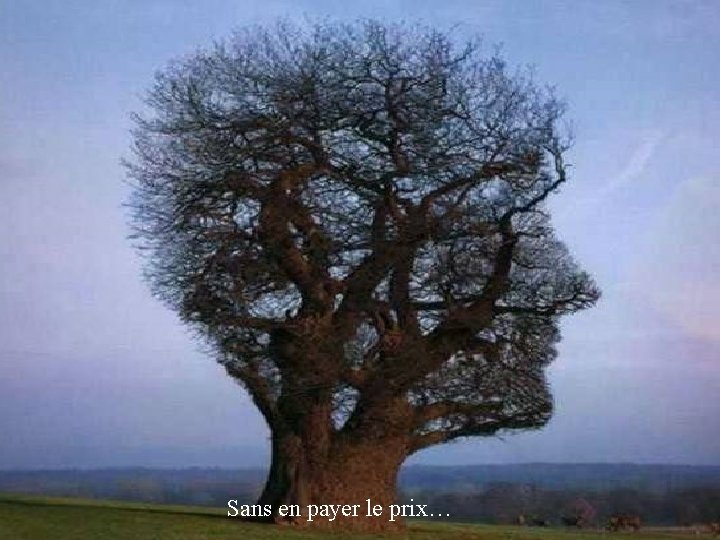 Sans en payer le prix… 