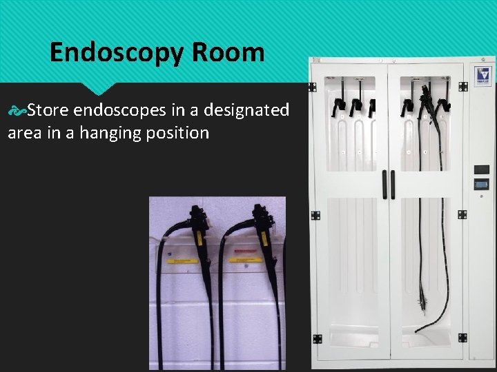 Endoscopy Room Store endoscopes in a designated area in a hanging position 