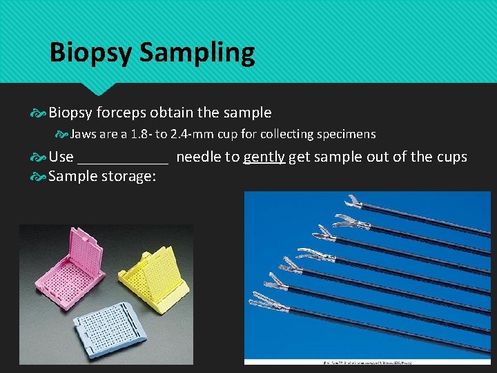 Biopsy Sampling Biopsy forceps obtain the sample Jaws are a 1. 8 - to