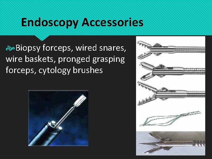 Endoscopy Accessories Biopsy forceps, wired snares, wire baskets, pronged grasping forceps, cytology brushes 