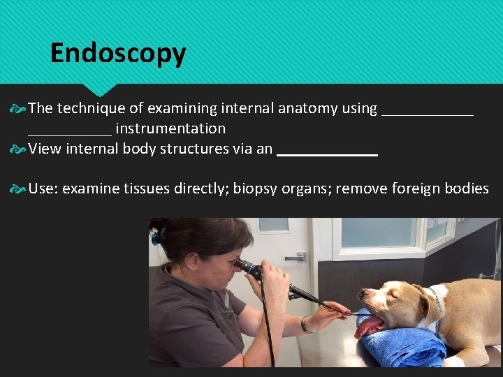 Endoscopy The technique of examining internal anatomy using ______ instrumentation View internal body structures