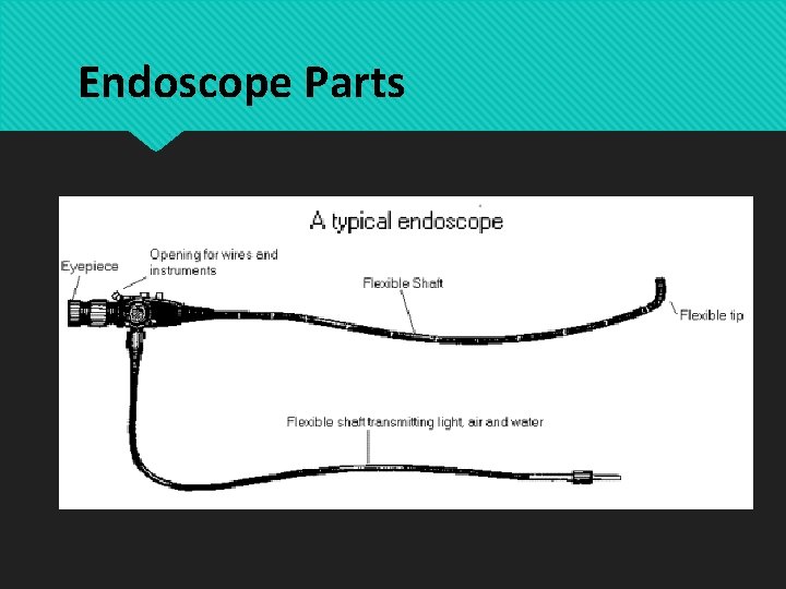 Endoscope Parts 