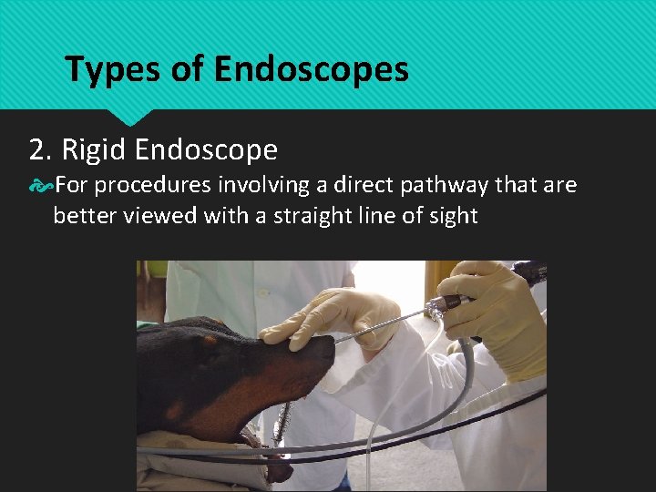Types of Endoscopes 2. Rigid Endoscope For procedures involving a direct pathway that are