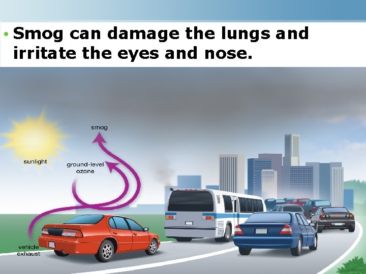  • Smog can damage the lungs and irritate the eyes and nose. 