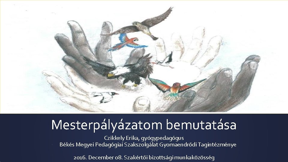 Mesterpályázatom bemutatása • Czikkely Erika, gyógypedagógus Békés Megyei Pedagógiai Szakszolgálat Gyomaendrődi Tagintézménye 2016. December