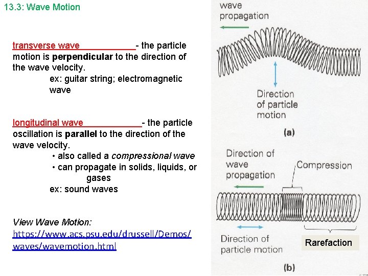 13. 3: Wave Motion transverse wave - the particle motion is perpendicular to the 13. 3: Wave Motion transverse wave - the particle motion is perpendicular to the