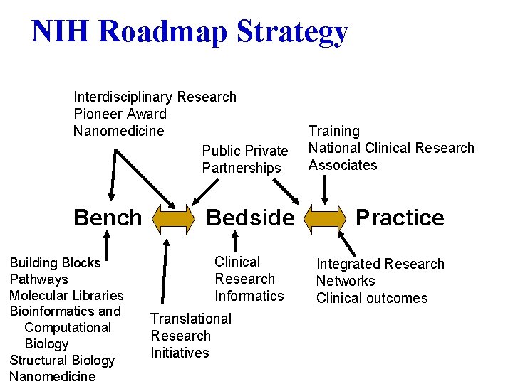 NIH Roadmap Strategy Interdisciplinary Research Pioneer Award Nanomedicine Public Private Partnerships Bench Building Blocks