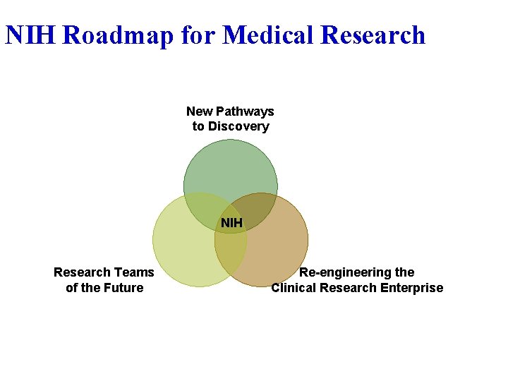 NIH Roadmap for Medical Research New Pathways to Discovery NIH Research Teams of the