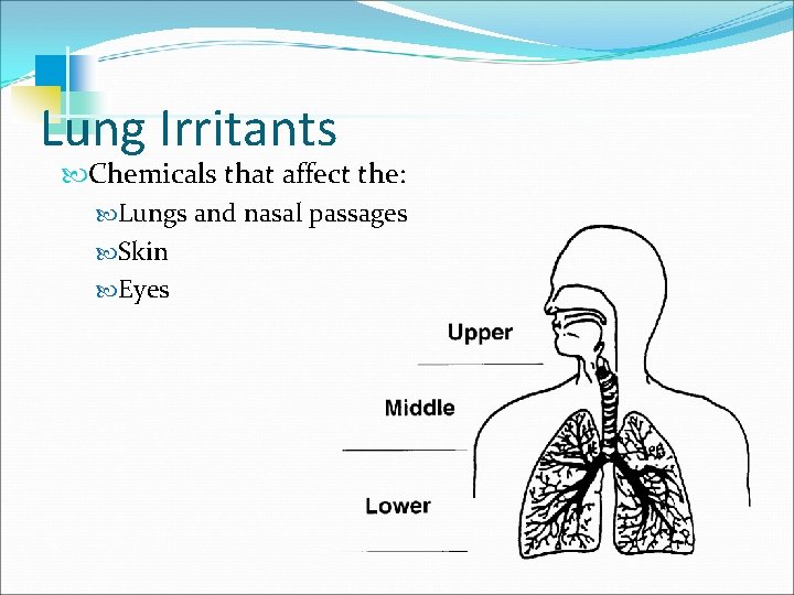 Lung Irritants Chemicals that affect the: Lungs and nasal passages Skin Eyes 