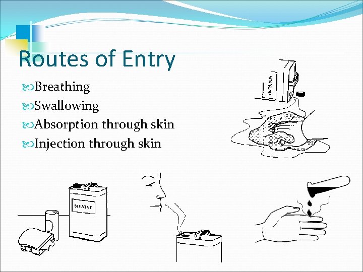 Routes of Entry Breathing Swallowing Absorption through skin Injection through skin 