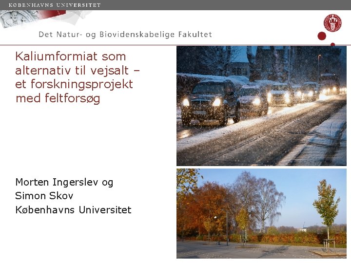 Kaliumformiat som alternativ til vejsalt – et forskningsprojekt med feltforsøg Morten Ingerslev og Simon