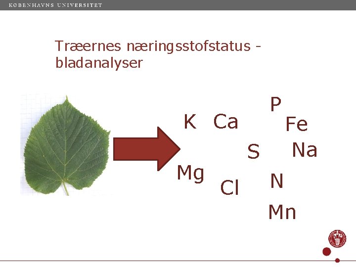 Træernes næringsstofstatus bladanalyser P K Ca Mg S Cl Fe Na N Mn 