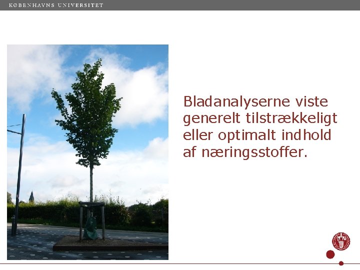 Bladanalyserne viste generelt tilstrækkeligt eller optimalt indhold af næringsstoffer. 