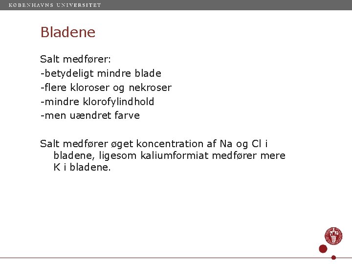 Bladene Salt medfører: -betydeligt mindre blade -flere kloroser og nekroser -mindre klorofylindhold -men uændret
