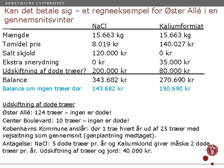 Kan det betale sig – et regneeksempel for Øster Allé i en gennemsnitsvinter Na.