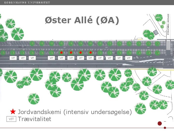 Øster Allé (ØA) VIT VIT VIT VIT Jordvandskemi (intensiv undersøgelse) Trævitalitet 