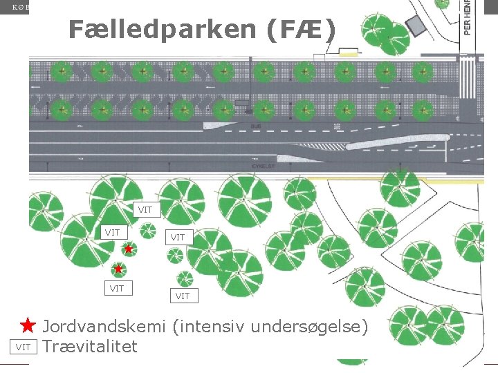 Fælledparken (FÆ) VIT VIT VIT Jordvandskemi (intensiv undersøgelse) Trævitalitet 