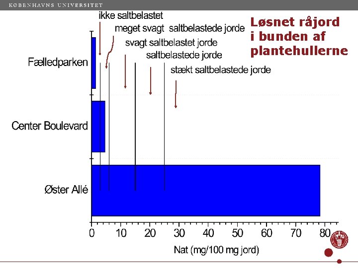 Løsnet råjord i bunden af plantehullerne 