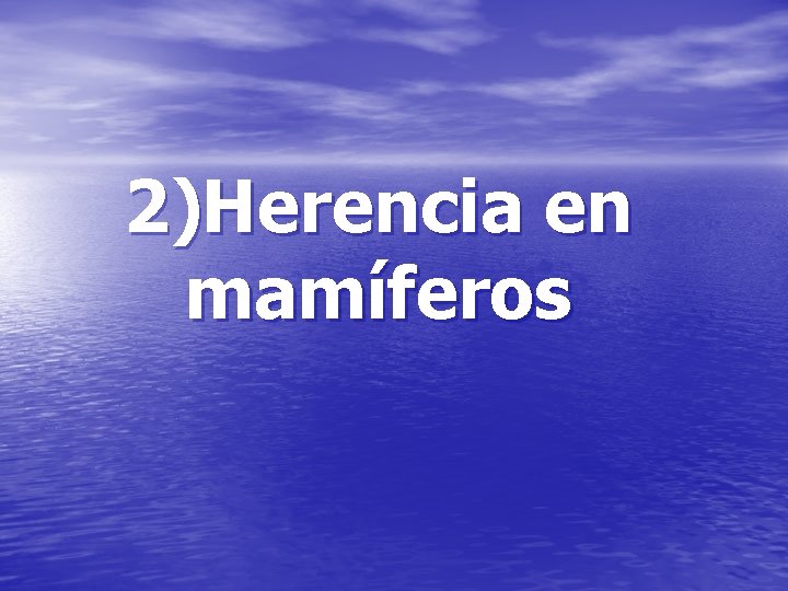 2)Herencia en mamíferos 