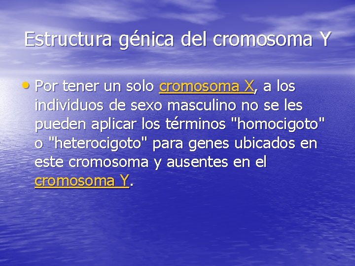 Estructura génica del cromosoma Y • Por tener un solo cromosoma X, a los
