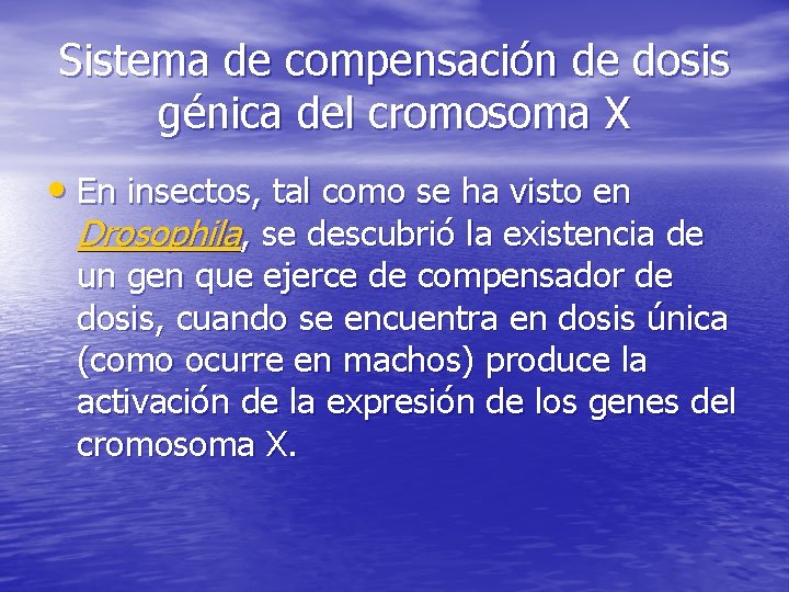 Sistema de compensación de dosis génica del cromosoma X • En insectos, tal como