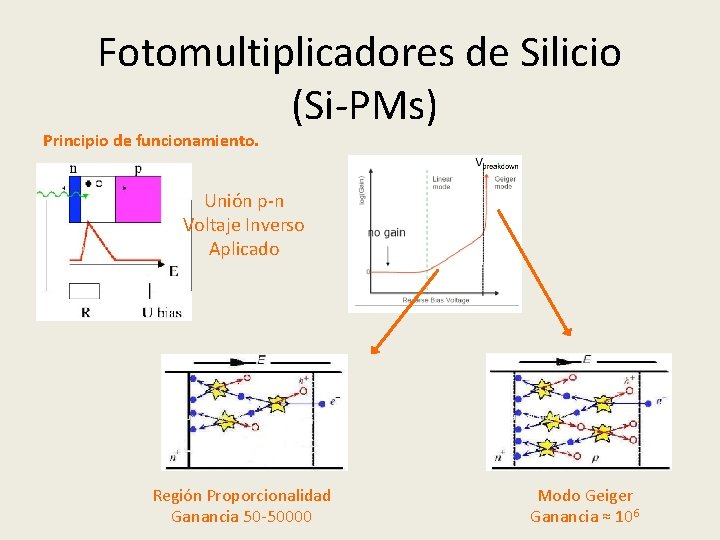 Fotomultiplicadores de Silicio (Si-PMs) Principio de funcionamiento. Unión p-n Voltaje Inverso Aplicado Región Proporcionalidad