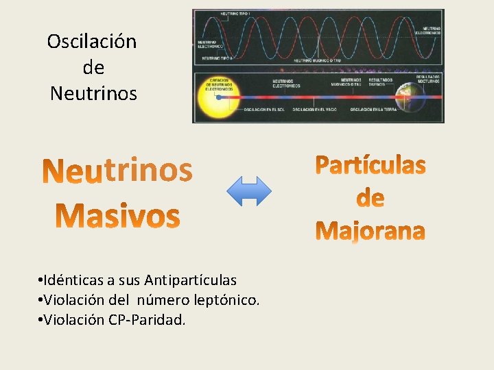 Oscilación de Neutrinos • Idénticas a sus Antipartículas • Violación del número leptónico. •