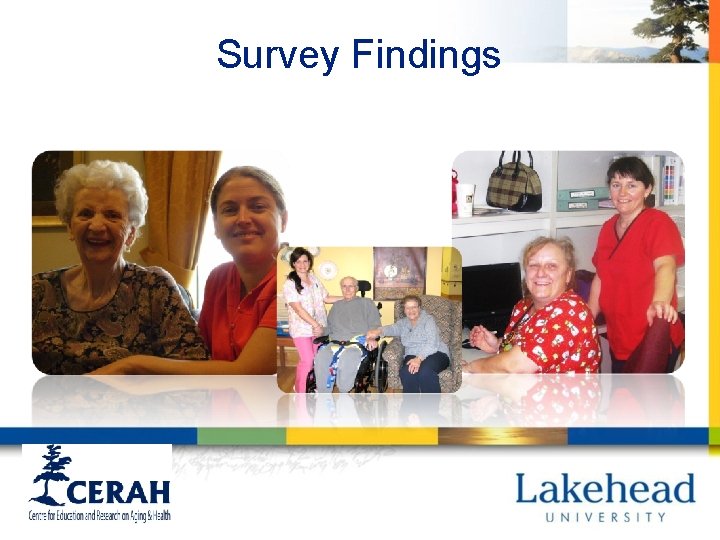 Survey Findings 